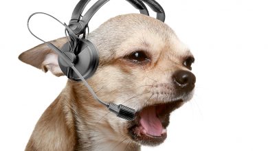 callcenter mascotas