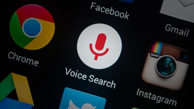 Voice search: facilidades para todo el que concurra.