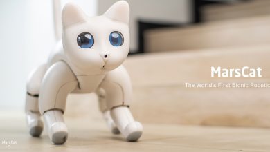 Gato Robot con Inteligencia artificial