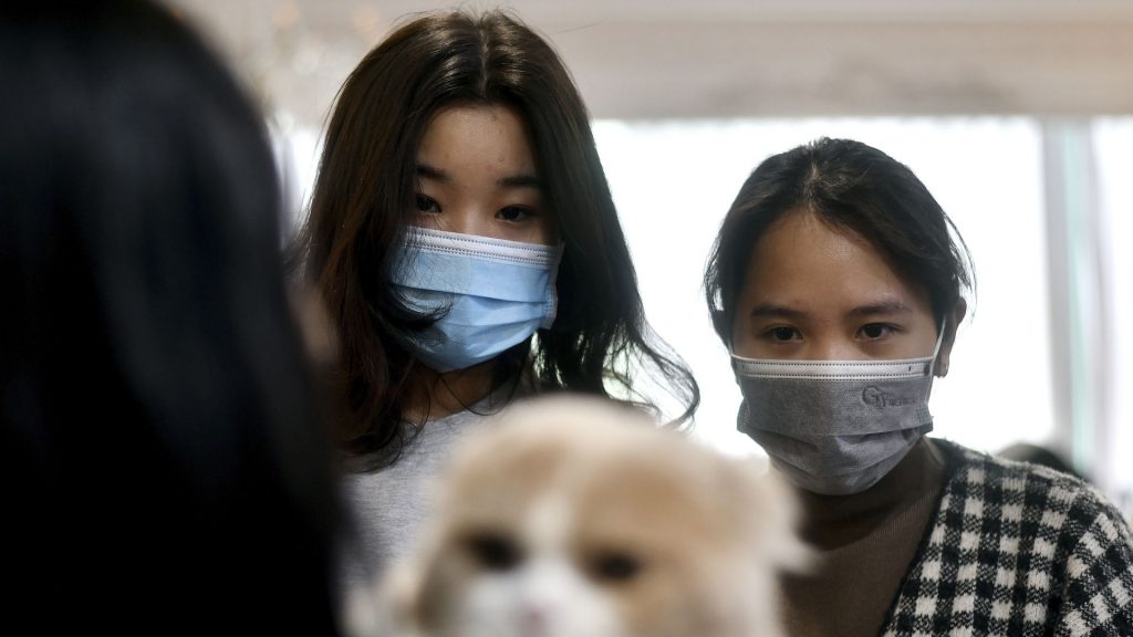 Crónica del coronavirus en un call center en Corea del Sur