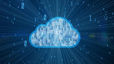 Algunas estrategias para evitar un bloqueo de los proveedores de Cloud