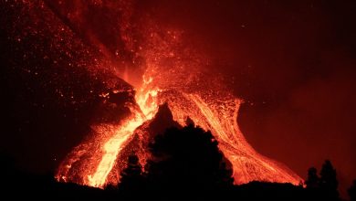 Contact Center de Ilunion en campaña por los afectados del volcán