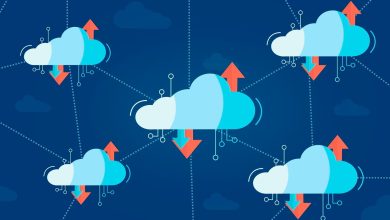 Ciberseguridad: Software como servicio (SaaS) y plataforma como servicio (PaaS)