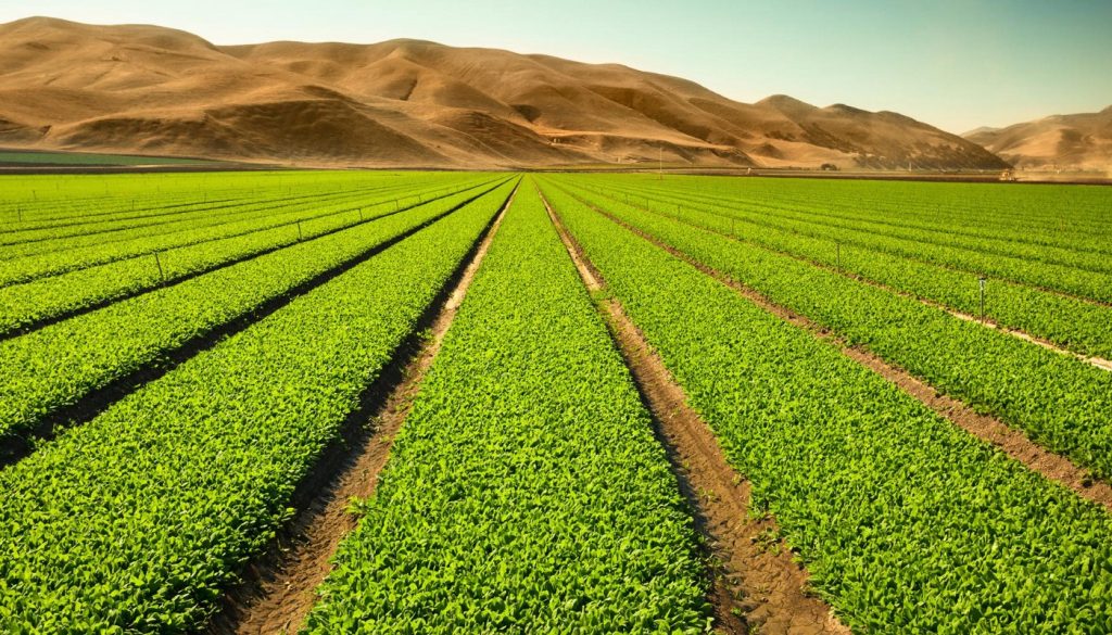 La agricultura marroquí está subiendo la ola digital