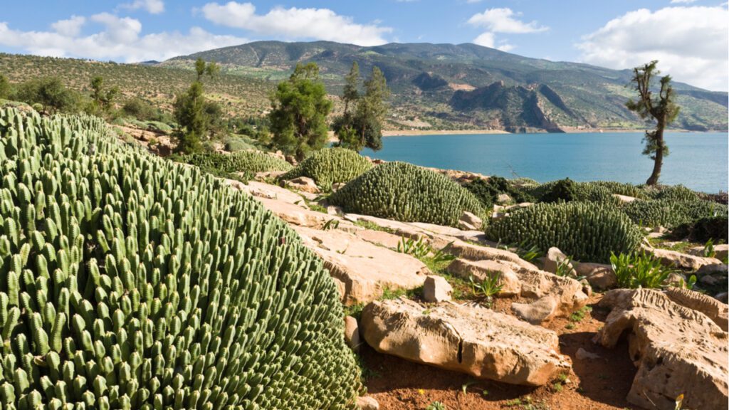 Nube soberana: los retos de Marruecos